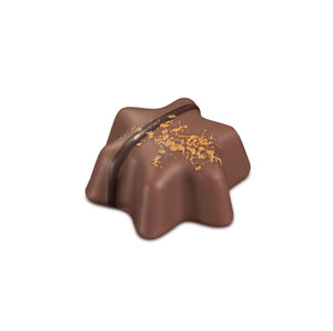 Trüffelstern Mandarine